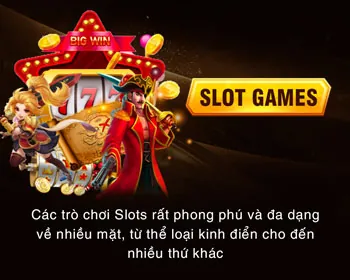 Báo cáo hiệu suất chi tiết